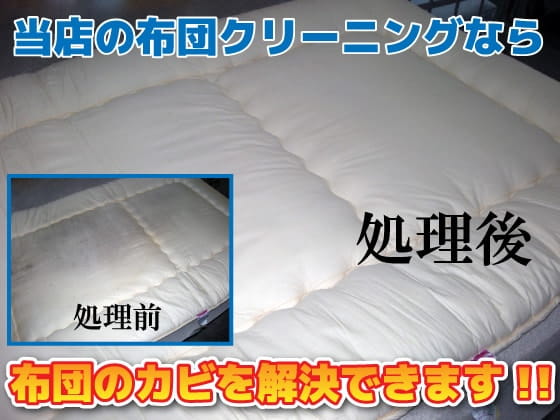 当店のクリーニングなら布団のカビを解決できます。