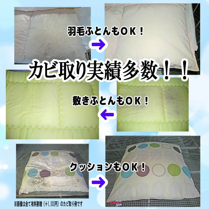 カビ取り実績多数！！　羽毛布団・敷き布団・クッションなど何でもＯＫ