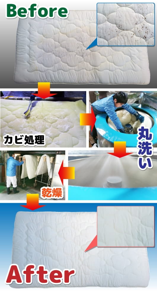 カビにはカビ専用の洗い方でスッキリ綺麗に！