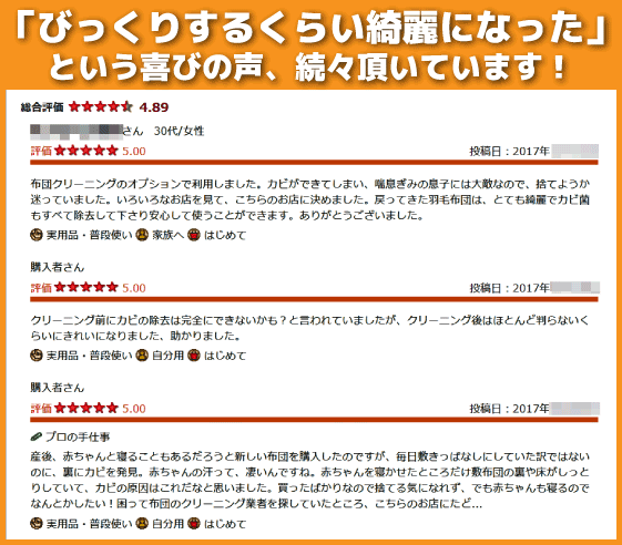 楽天レビューにて4.89をいただきました。
