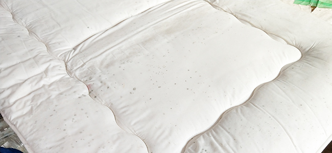 布団のカビトラブル！その原因＆解決方法｜カビ対策も！