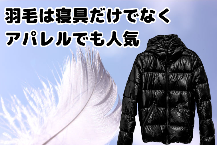羽毛は寝具だけでなくアパレルでも人気です。