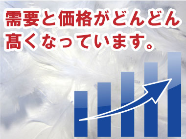 需要と価格がどんどん高くなっています。