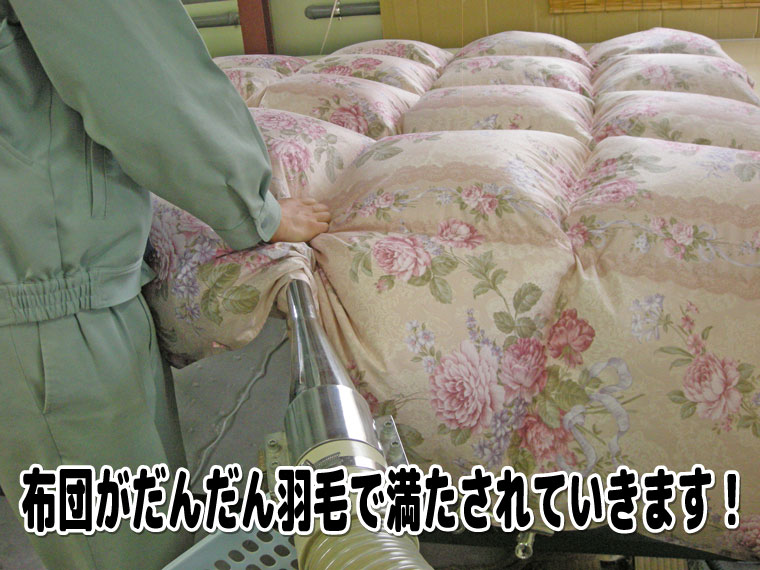 布団がだんだん羽毛で満たされていきます