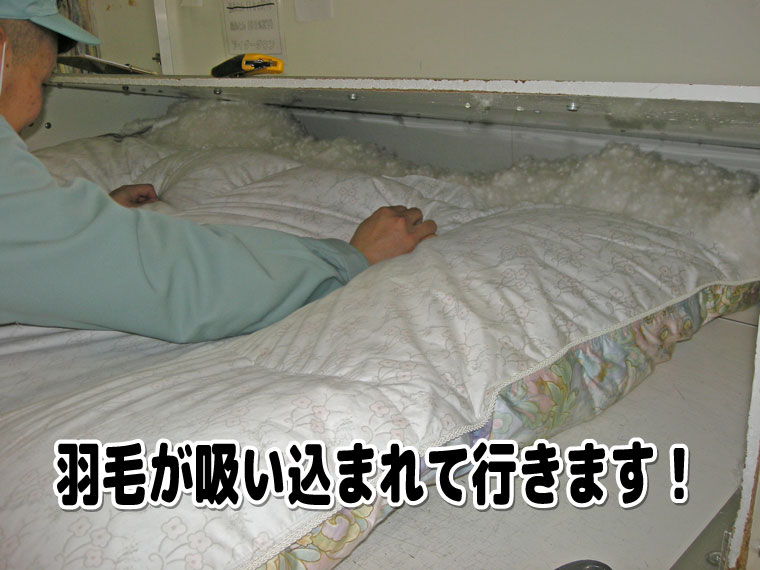 羽毛が吸い込まれていきます