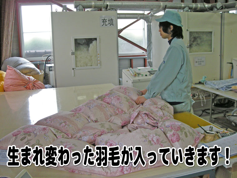 生まれ変わった羽毛が入っていきます