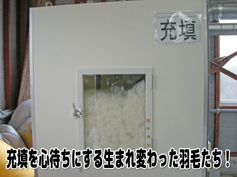 充填を心待ちにする生まれ変わった羽毛たち