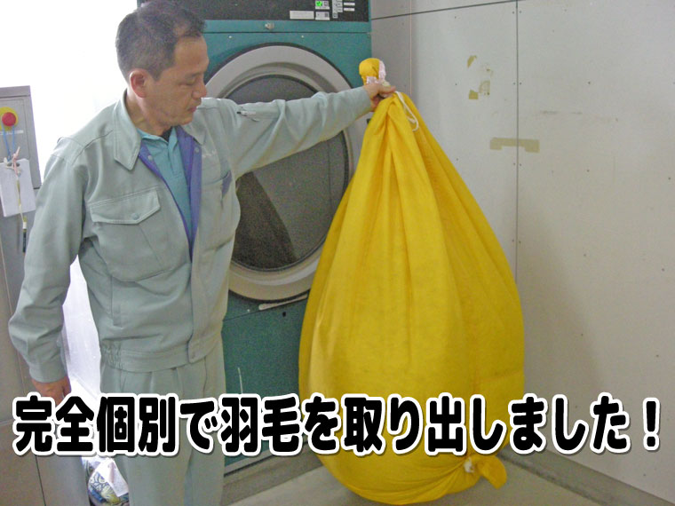 完全個別で羽毛を取り出しました