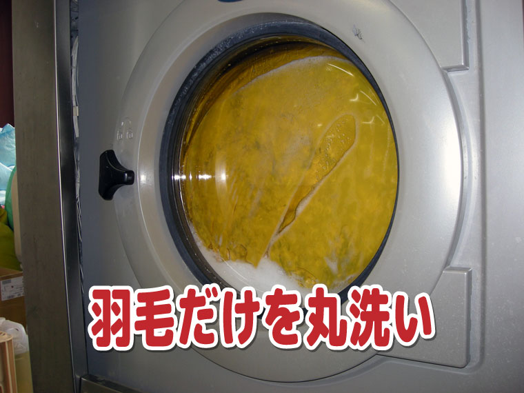 羽毛だけを丸洗い