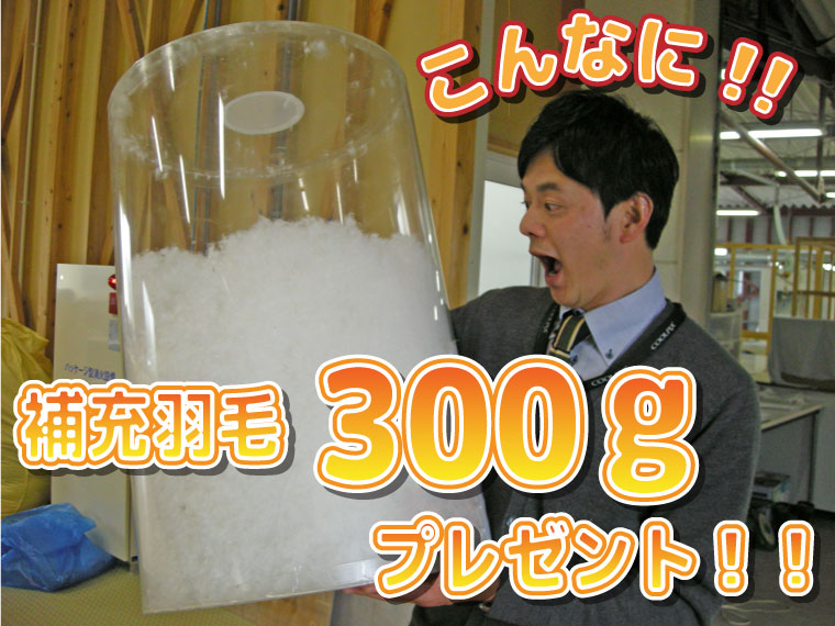 補充羽毛300gプレゼント