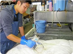 高圧ガンを使用して頑固な汚れを取り除きます。